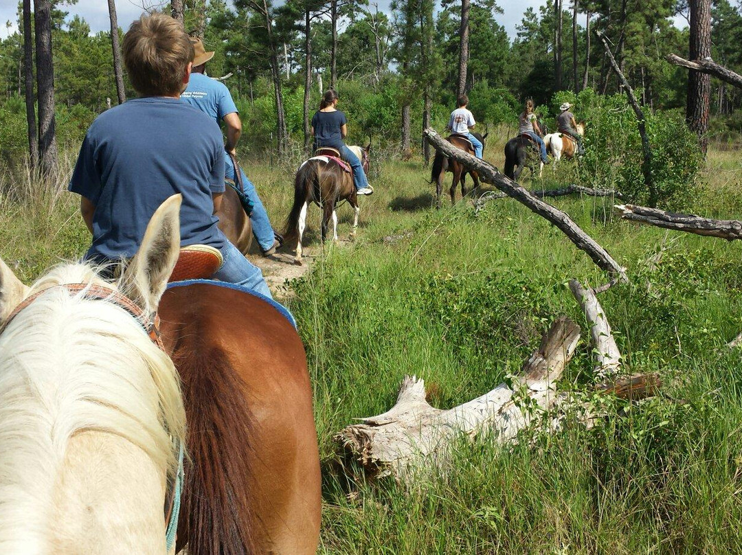 Iron Horse Guest Ranch-Plantersville必去景点