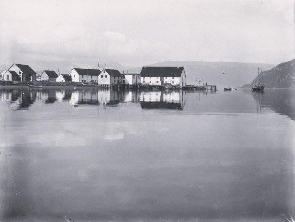 Blackawton Boat Tours-Woody Point必去景点