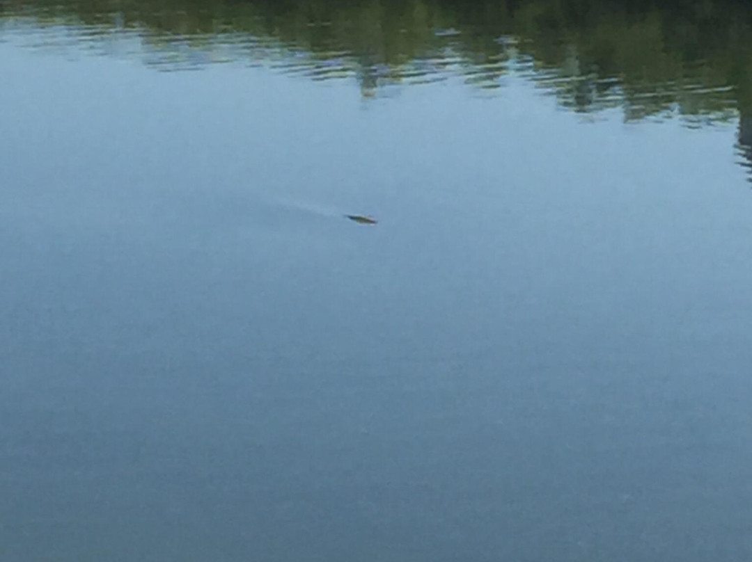 Clam Pass Park-那不勒斯必去景点