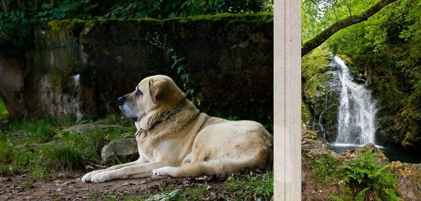 Itzalargikoborda主图