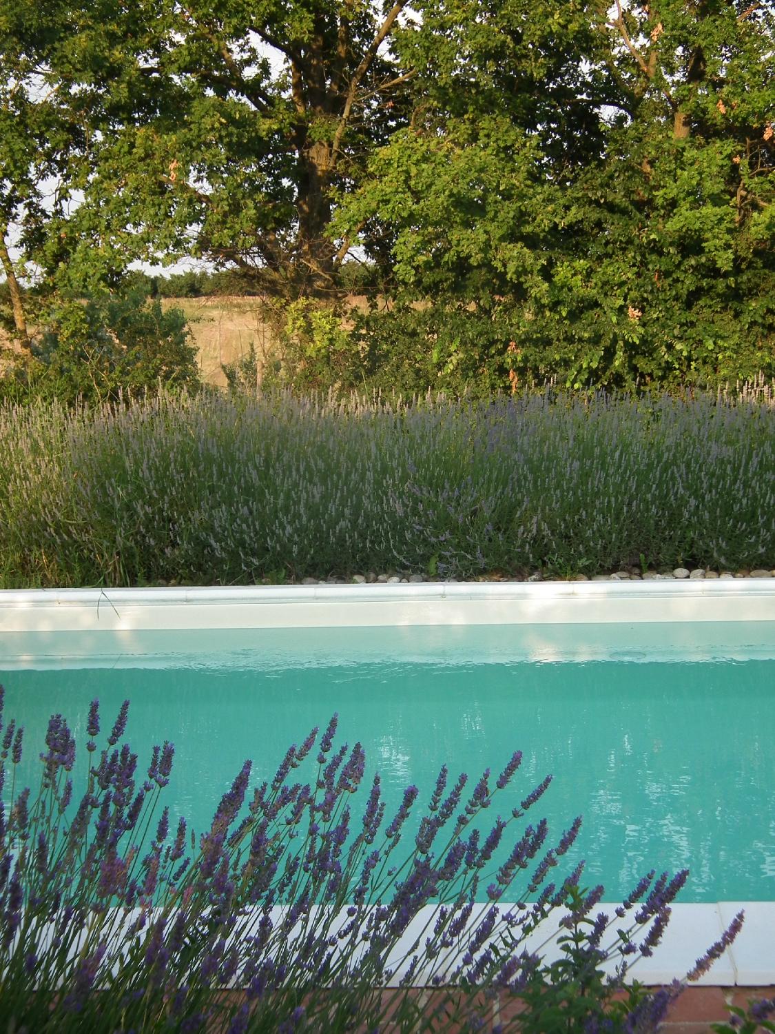 La Casetta B&B-官方