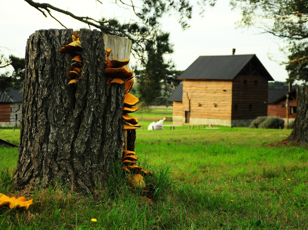 Cabanas del Yarquen主图