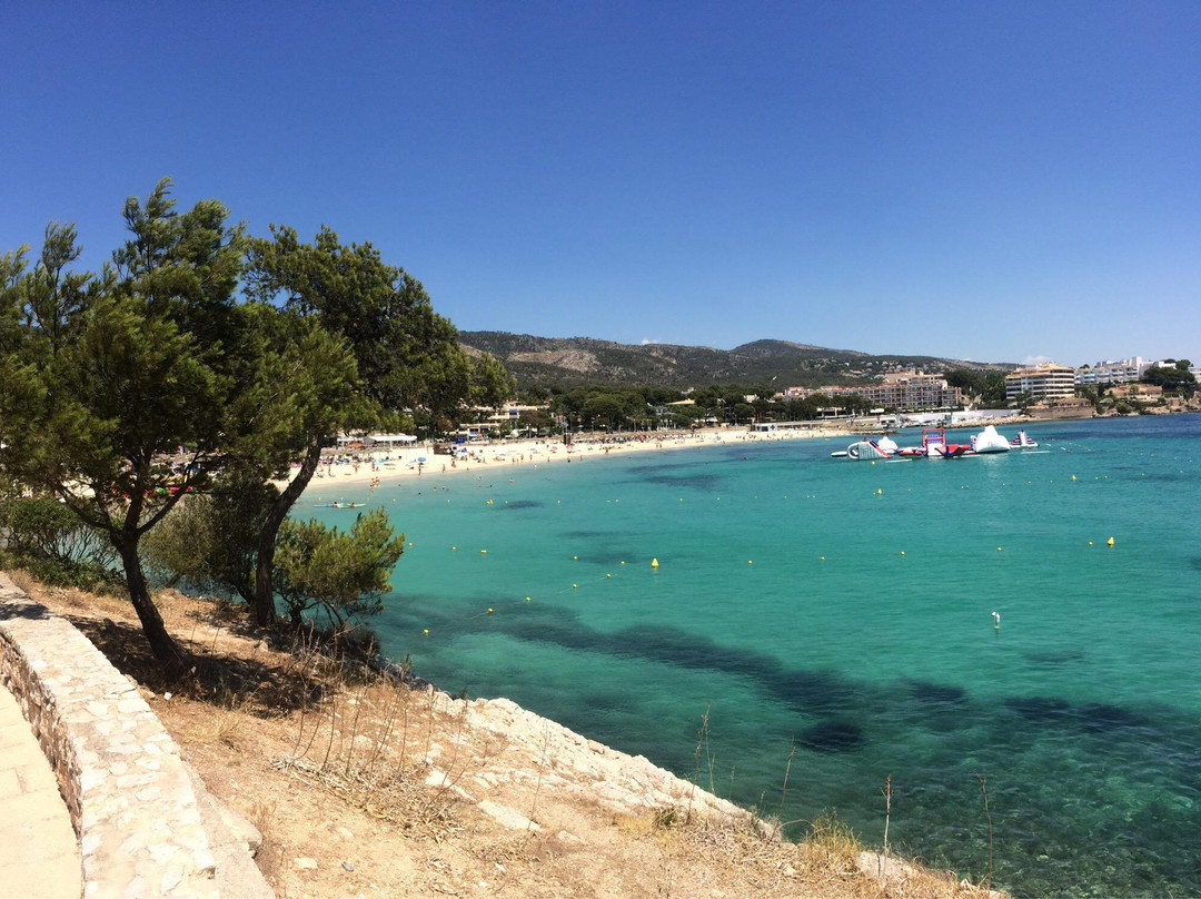 Ruta Palmanova - Magaluf-卡尔维亚必去景点