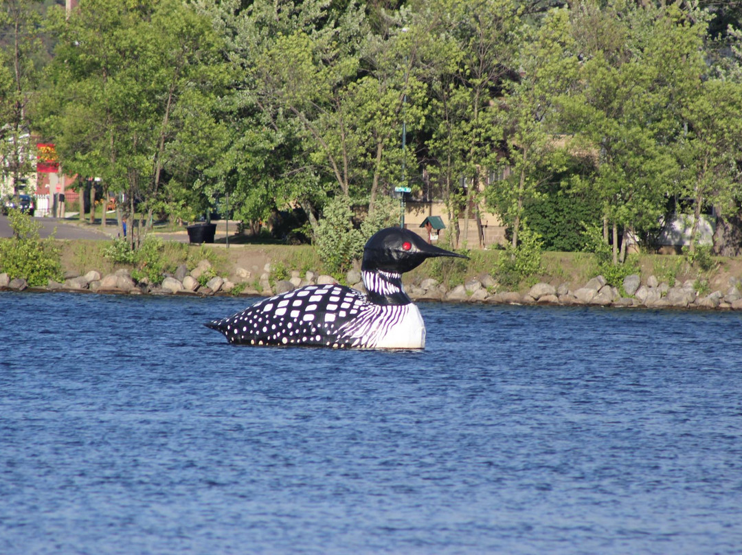 Giant Loon-Virginia必去景点