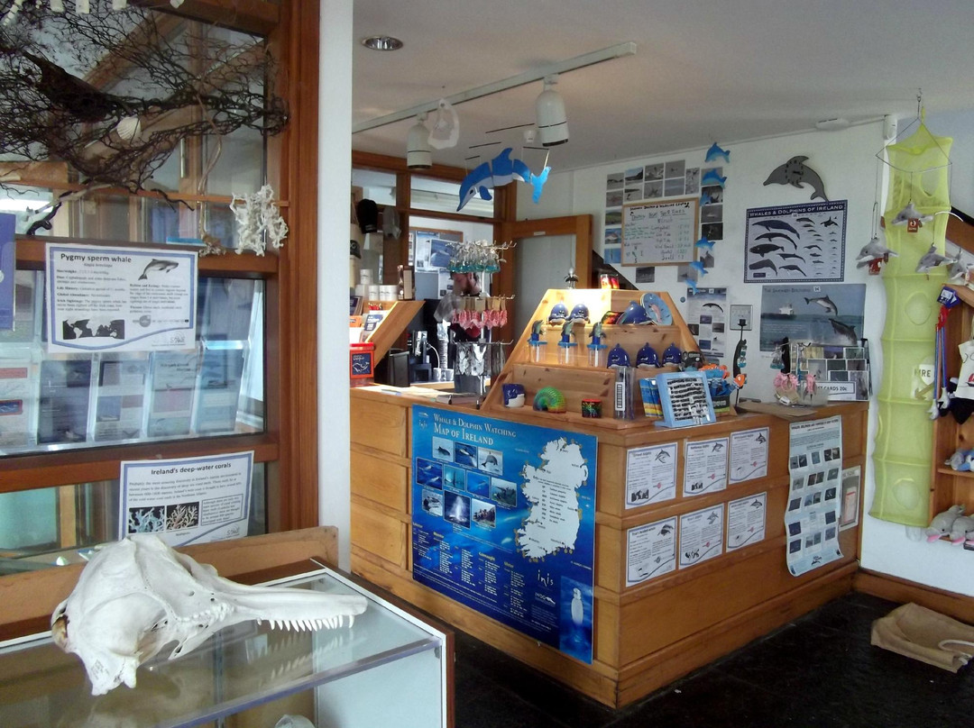 Shannon Dolphin and Wildlife Centre景点图片