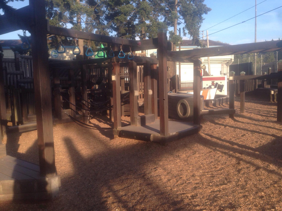 Dream Playground景点图片