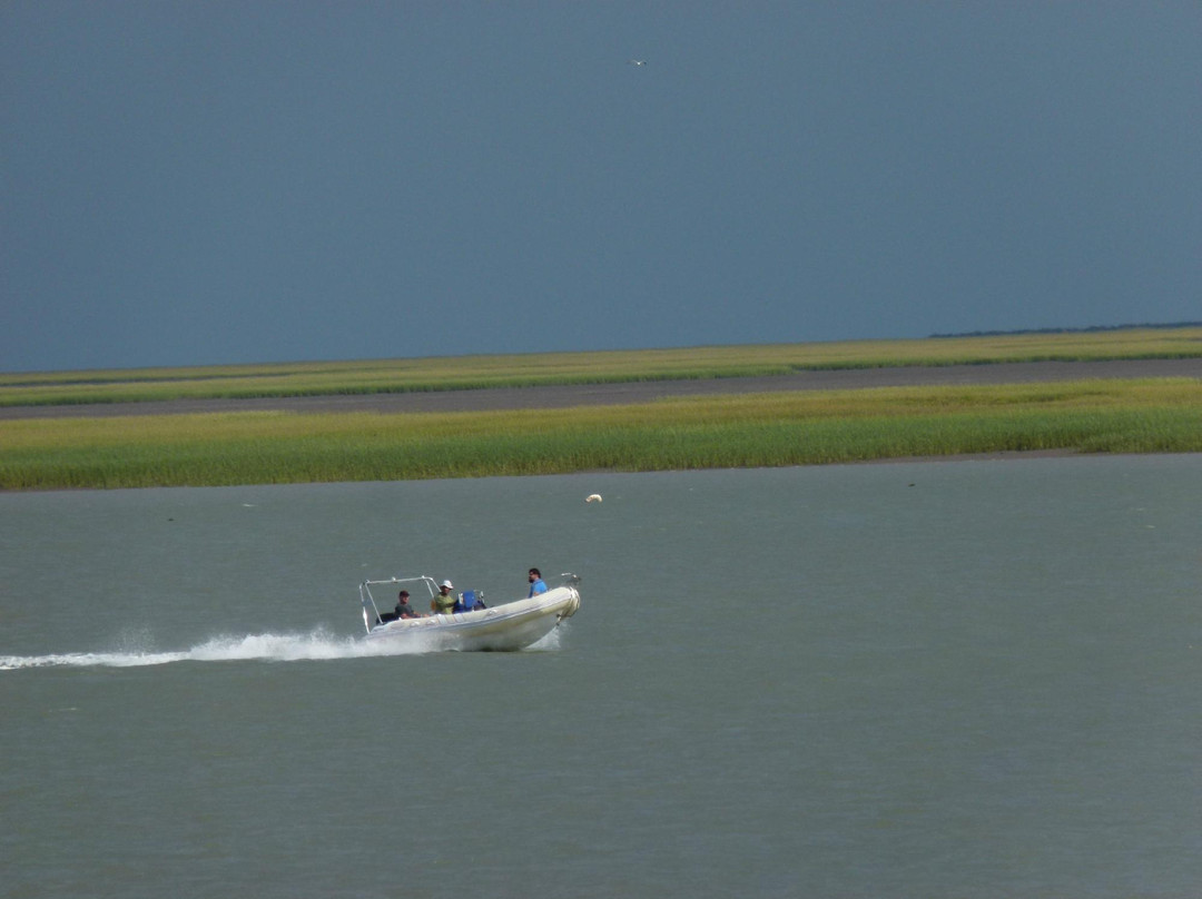 Ria de Bahia Blanca-Bahia Blanca必去景点