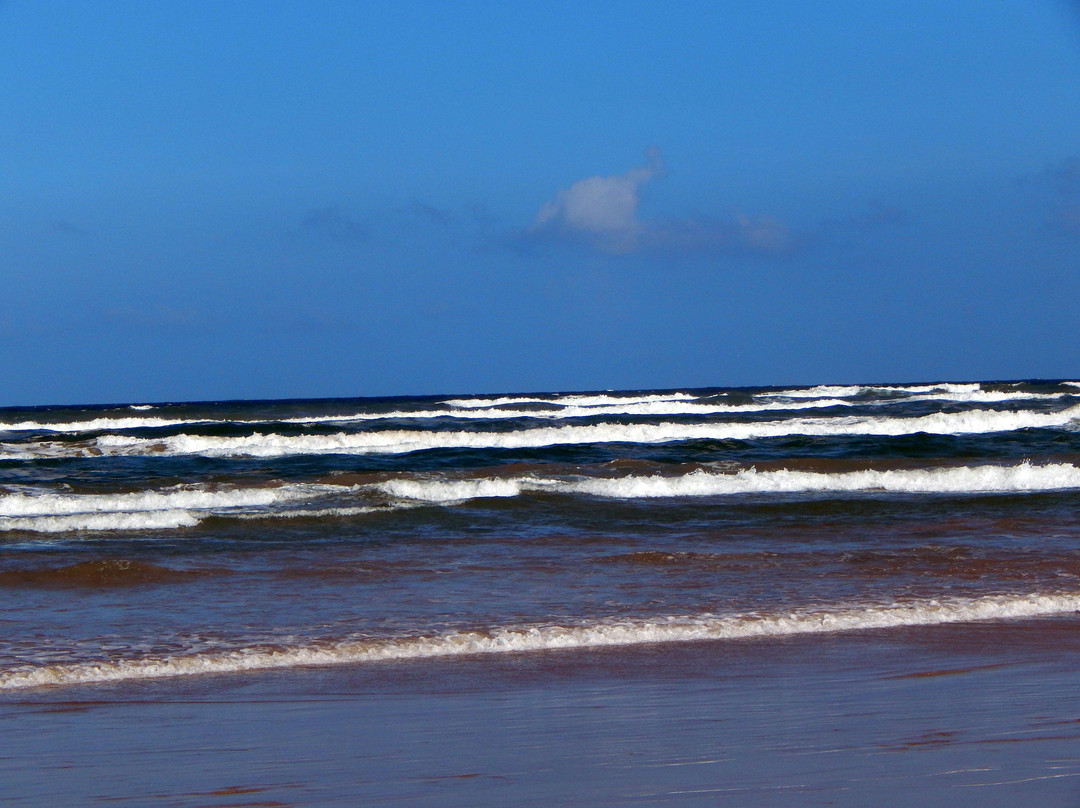 Beach Loop-科珀斯克里斯蒂市必去景点