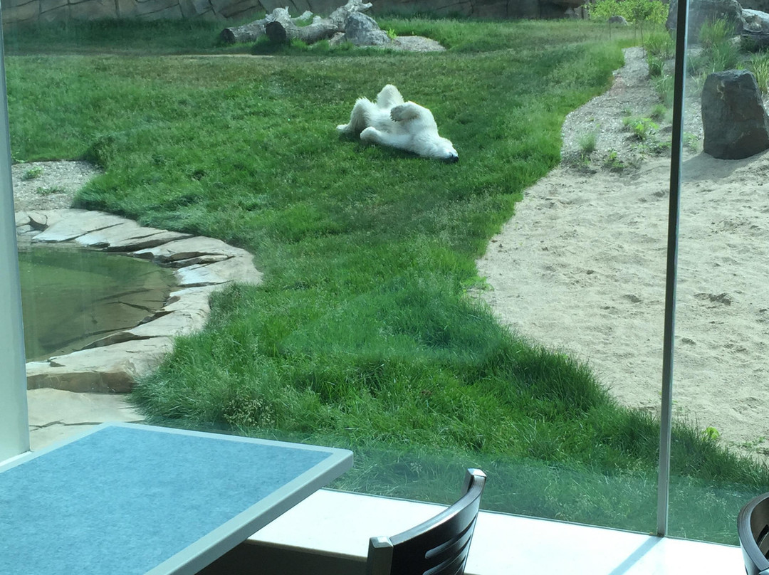 亨利维拉斯动物园-麦迪逊必去景点