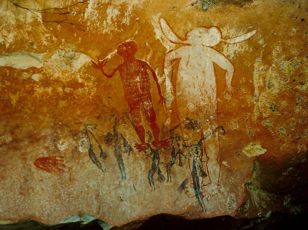 Kimberley Safari Tours景点图片