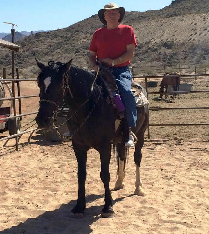 Pot A Gold Stables-拉芙琳必去景点