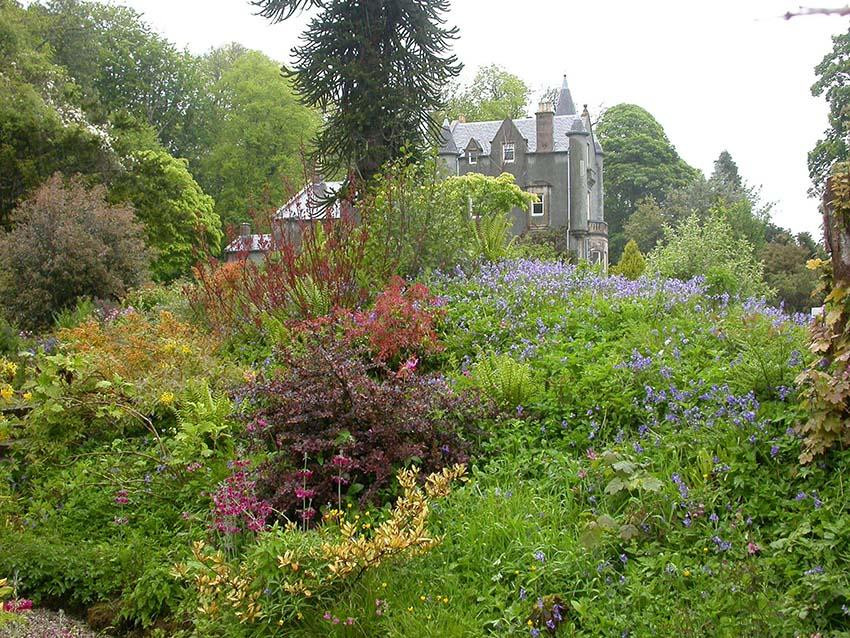 Ascog Hall Fernery and Garden-Ascog必去景点