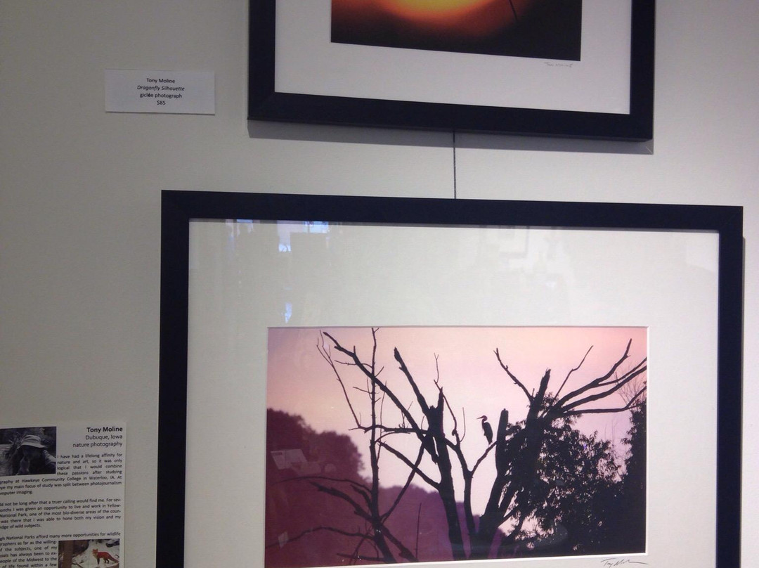 Outside the Lines Art Gallery Galena-加利纳必去景点