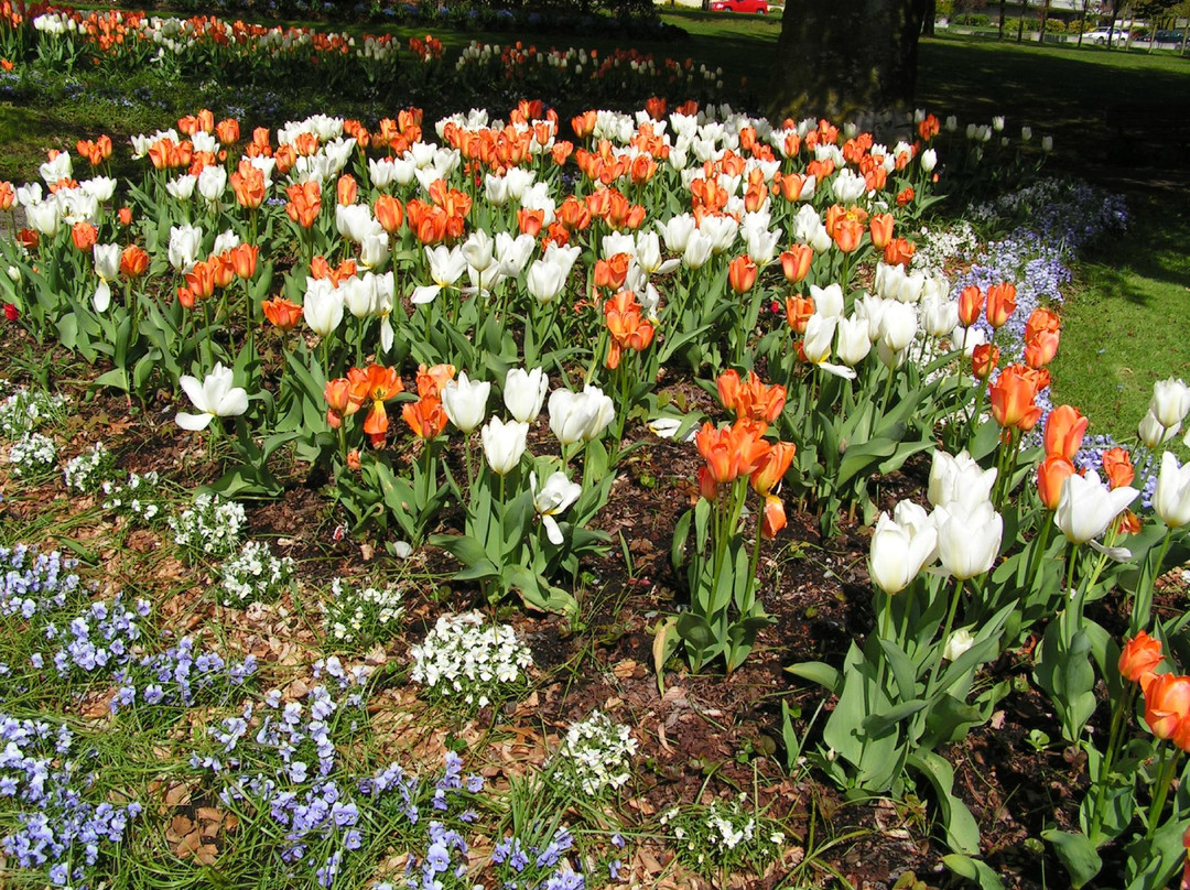 Victoria Park-北温哥华必去景点