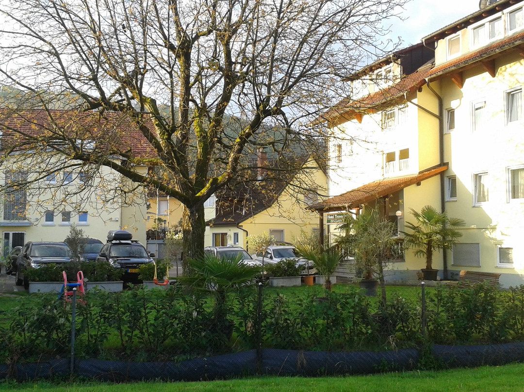 Hotel Tannenhof主图