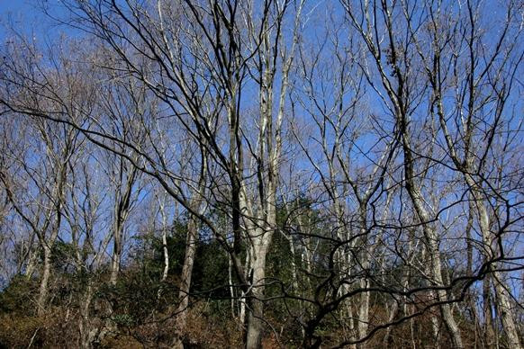 Konozan Mountain-交野市必去景点