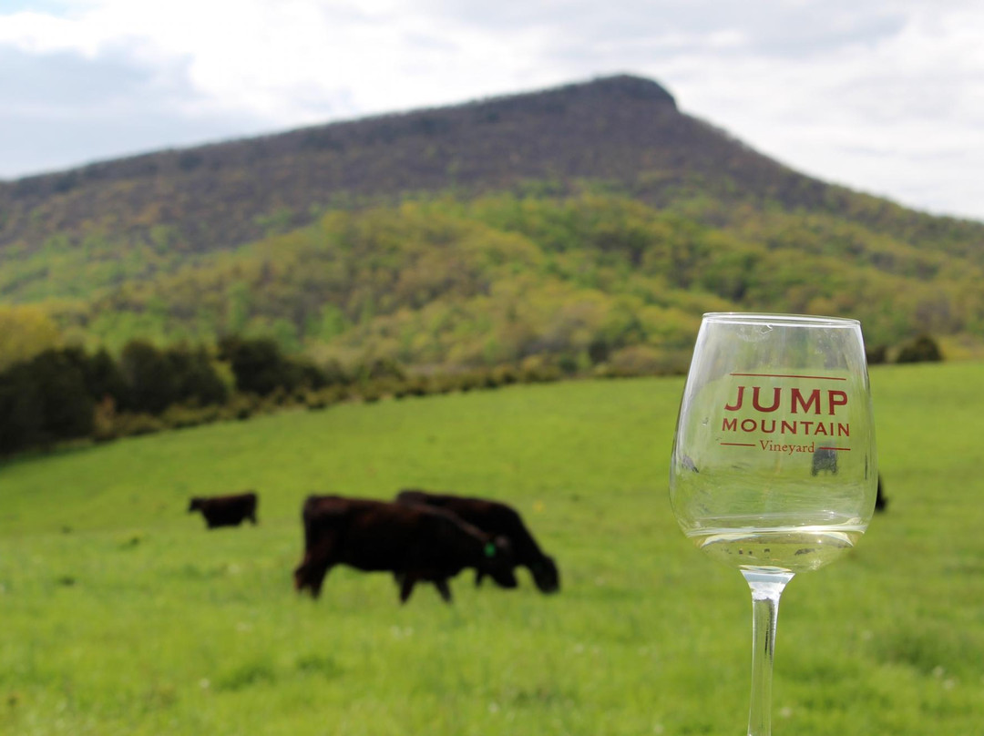 Jump Mountain Winery景点图片