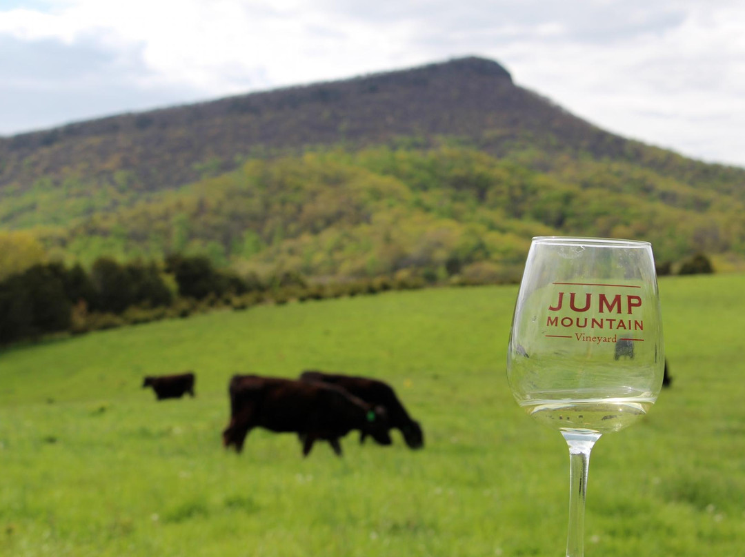 Jump Mountain Vineyard-Rockbridge Baths必去景点
