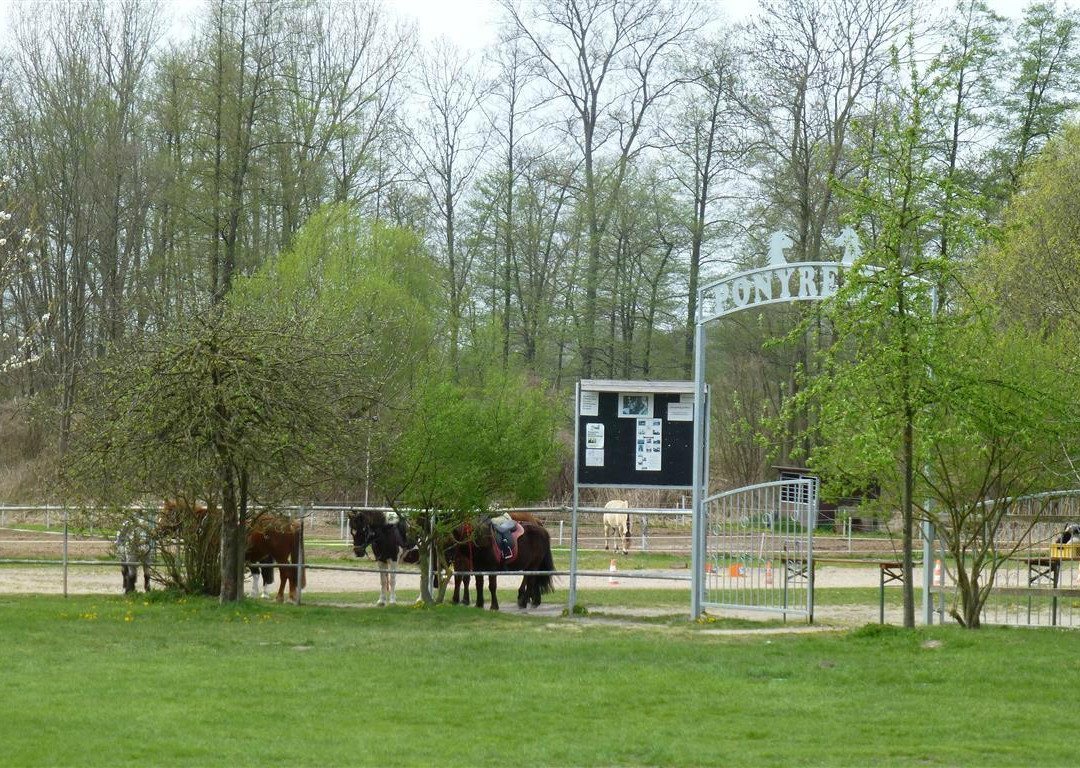 Schloss Diedersdorf主图