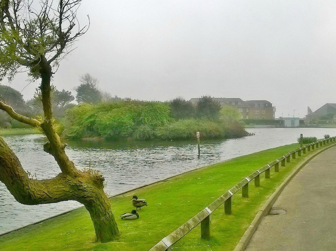 Mewsbrook Park景点图片
