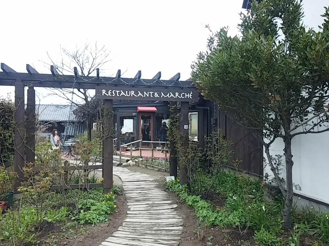 カーブドッチ マルシェ