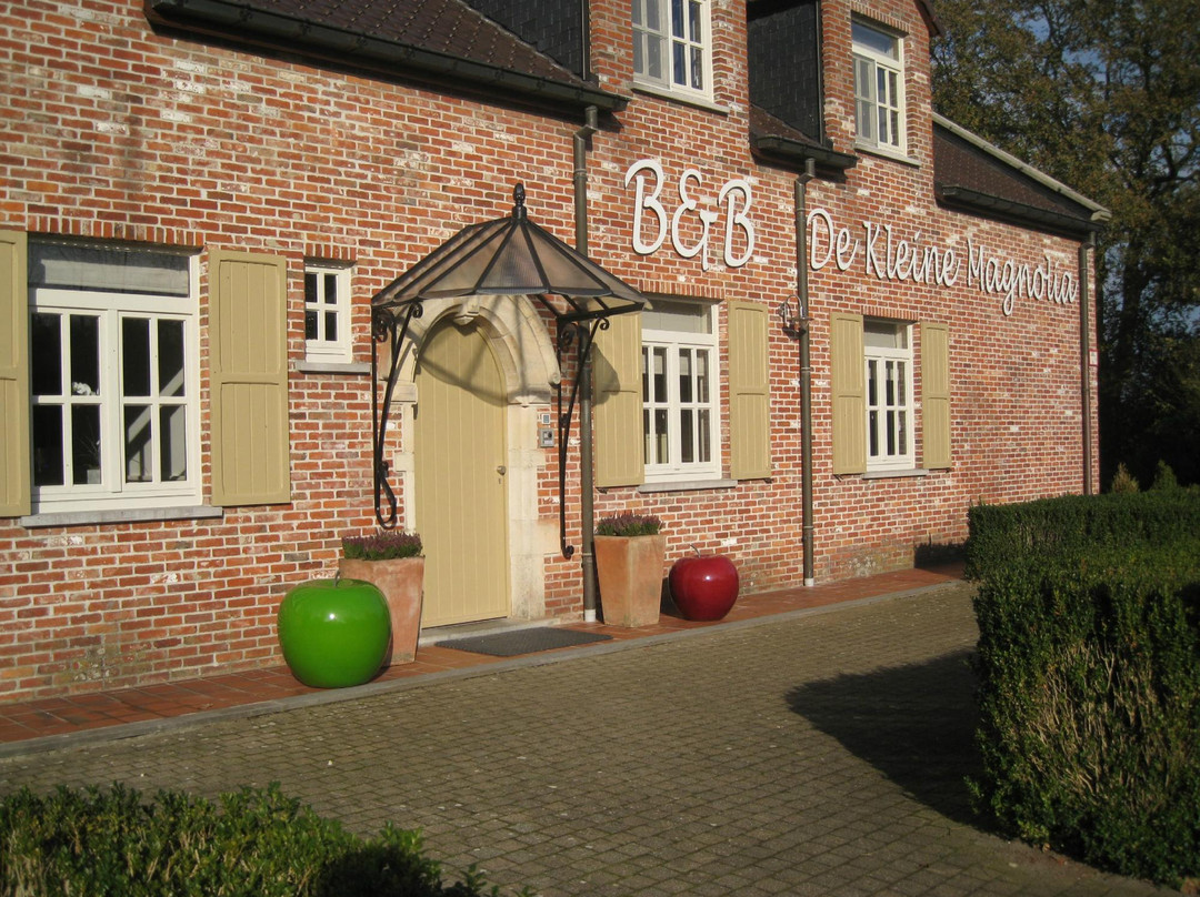 Bed & Breakfast de Kleine Magnolia