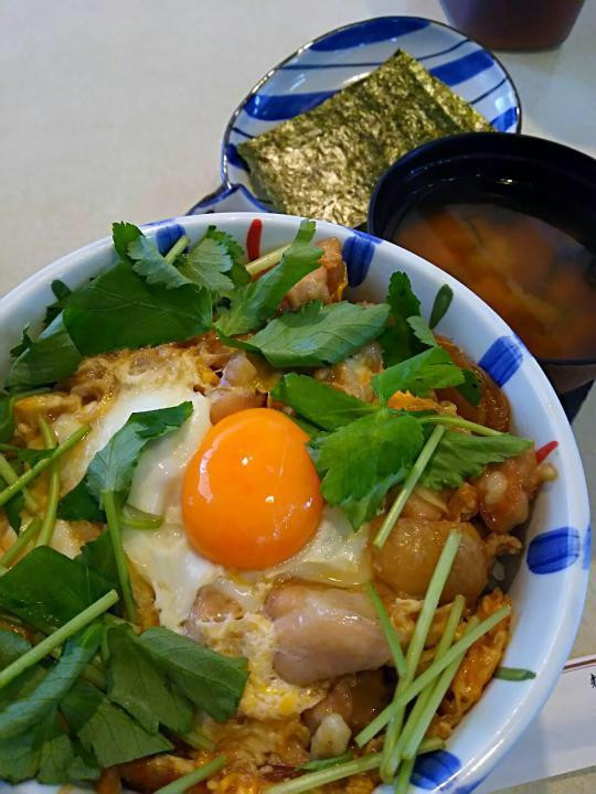 後楽 とんかつ店