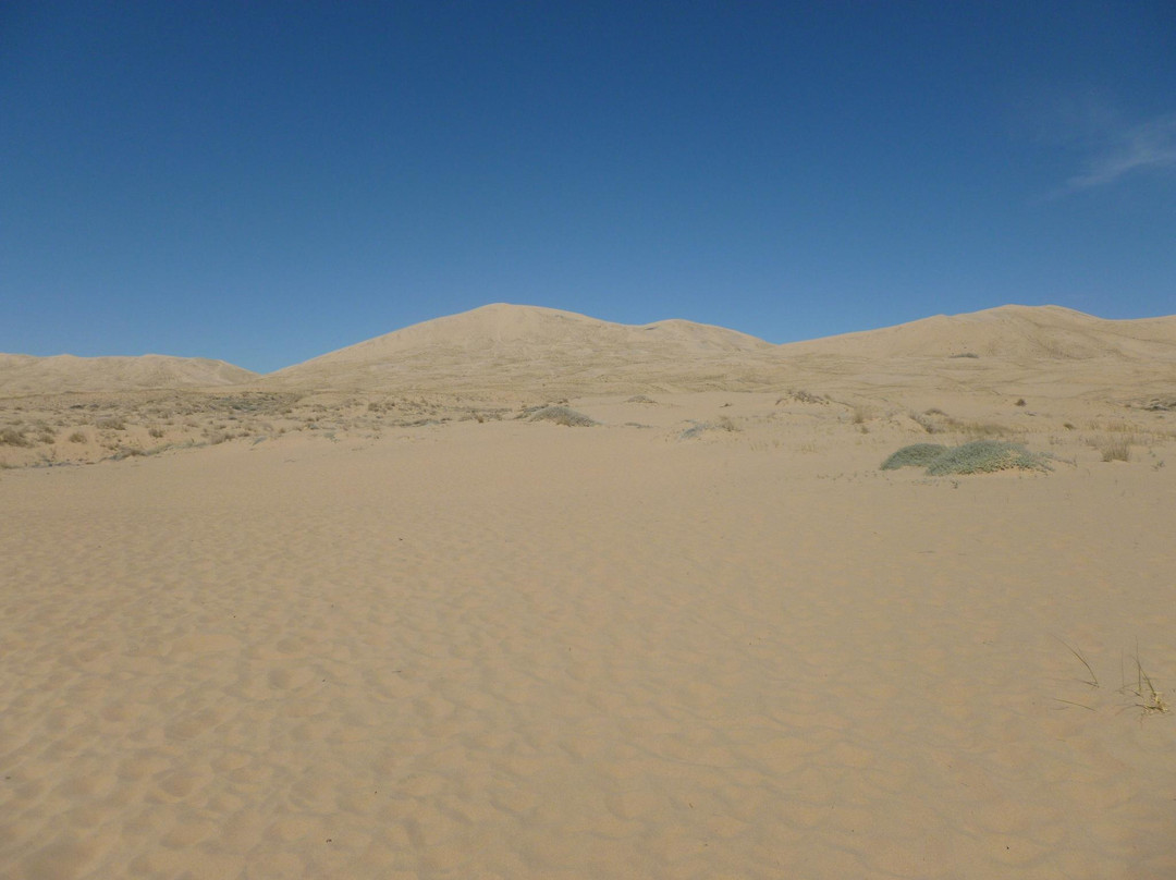 Kelso Dunes景点图片