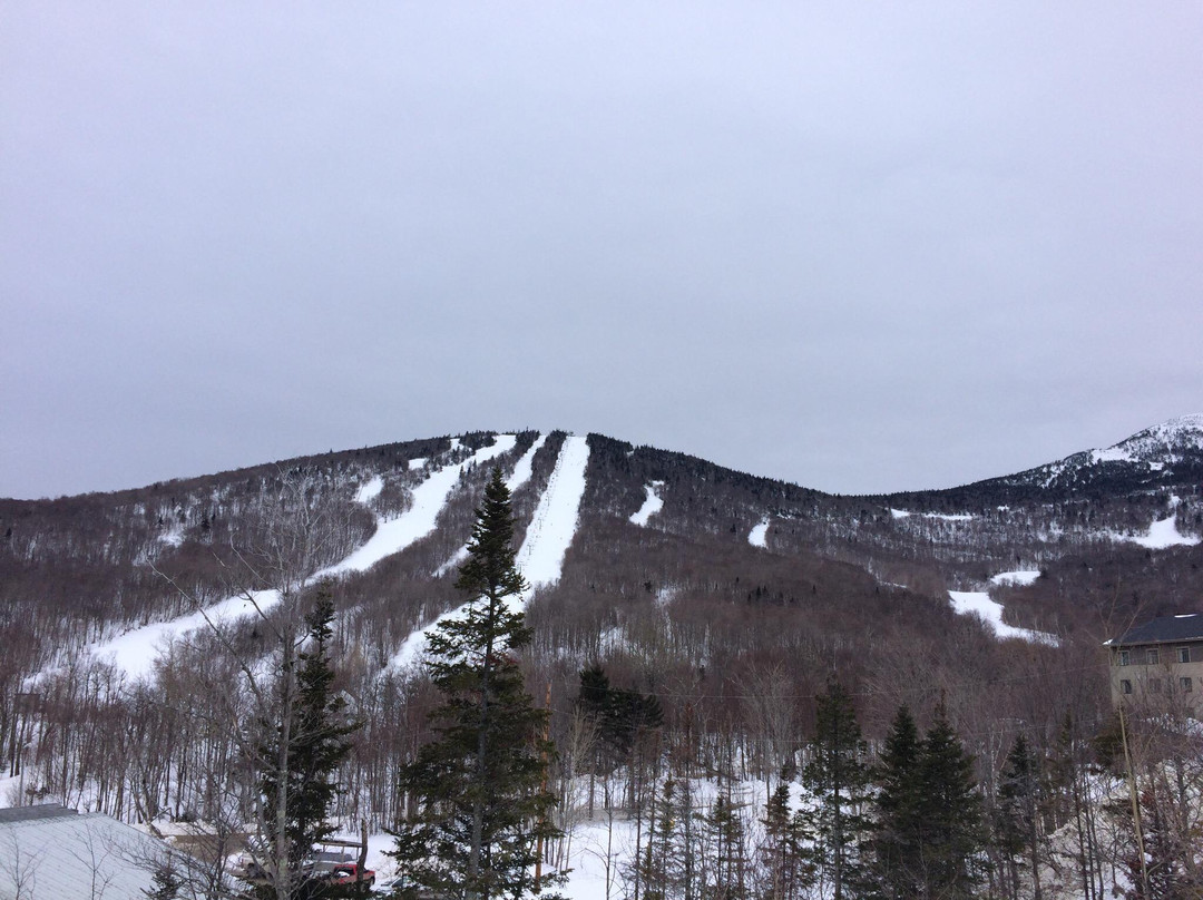 The New Stateside Hotel & Baselodge主图