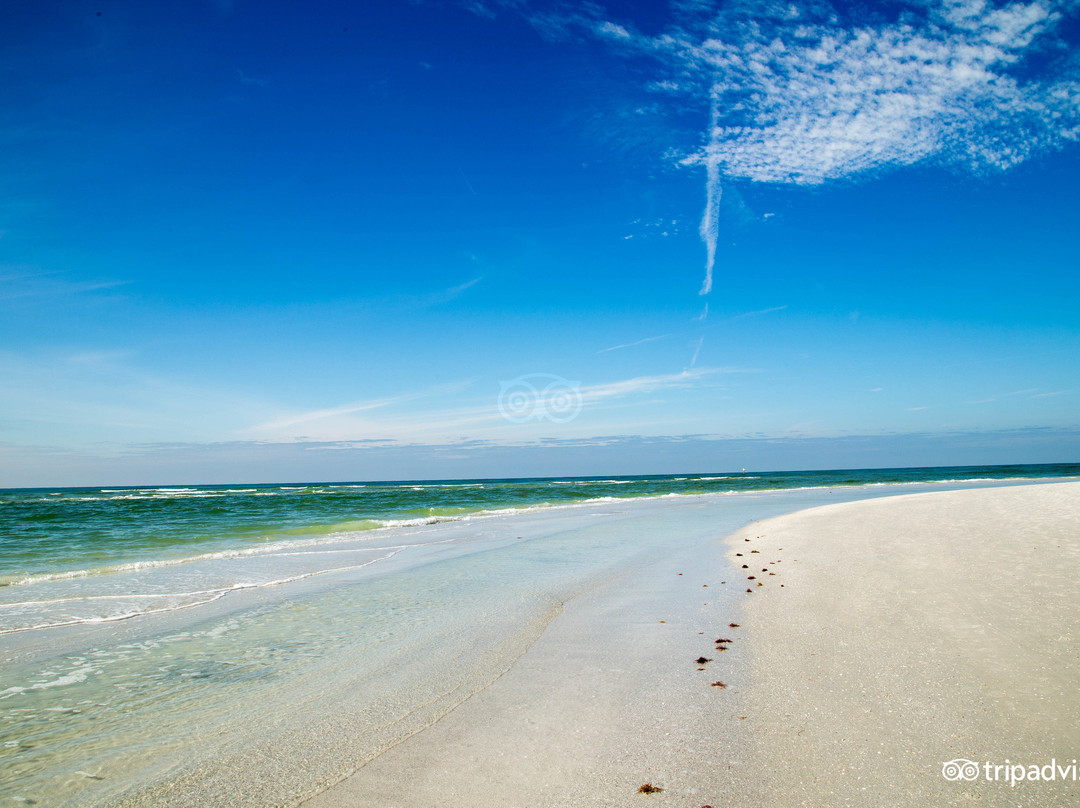 Beach Palms of Siesta Key Village