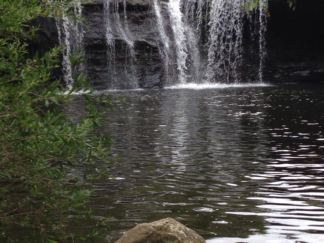 Carrington Falls-Robertson必去景点