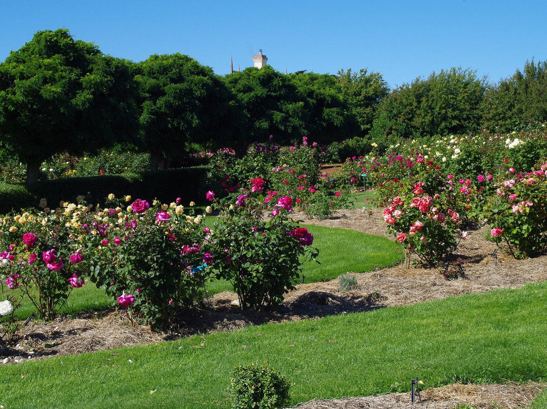 National Rose Garden景点图片