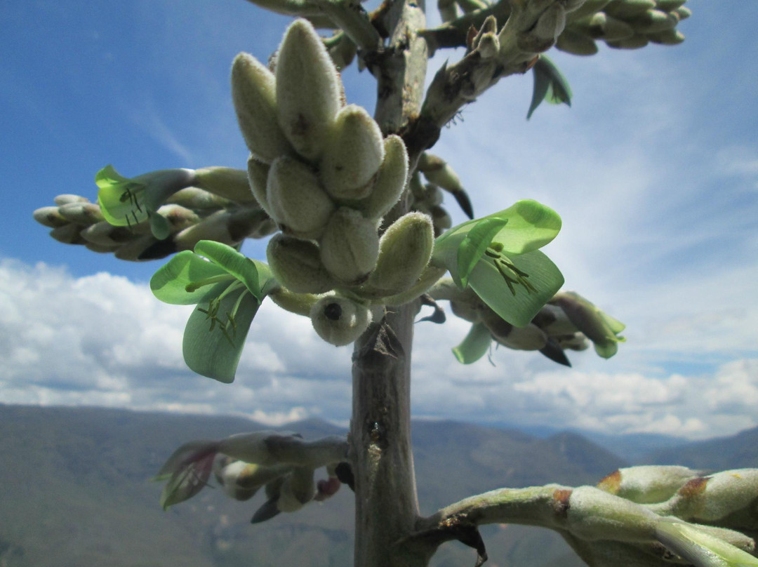 Santa Maria Travel- Day Tours-Chachapoyas必去景点