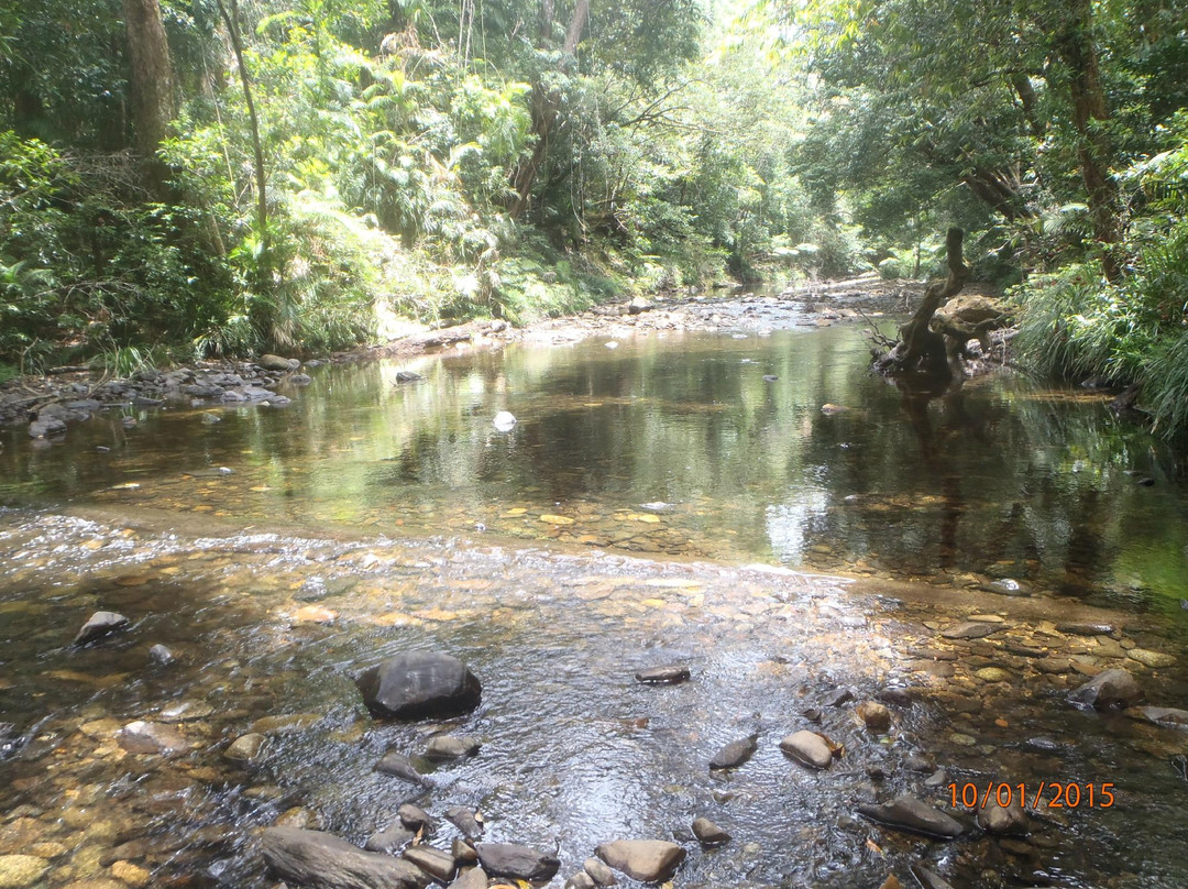 Cedar Bay National Park-库克敦必去景点