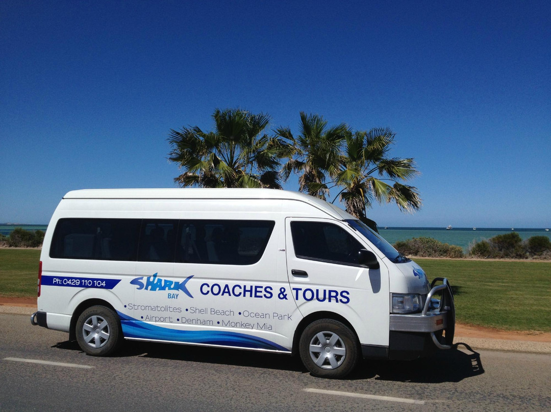 Shark Bay Coaches and Tours-德纳姆必去景点