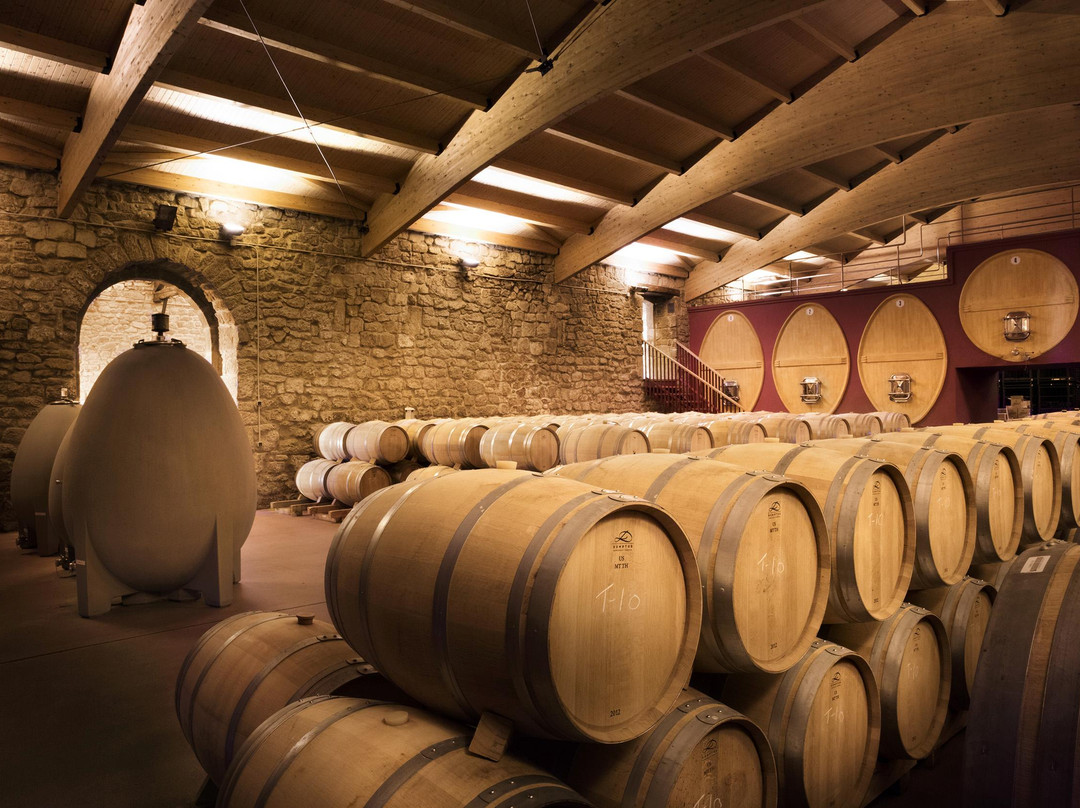 Bodegas y Vinedos Gomez Cruzado-哈罗必去景点