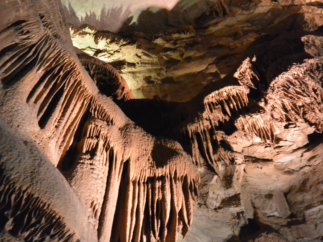 Wild Cave Tour景点图片