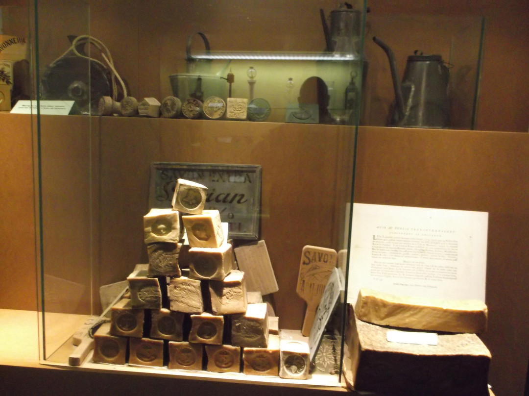 Museum of the Olive Tree景点图片