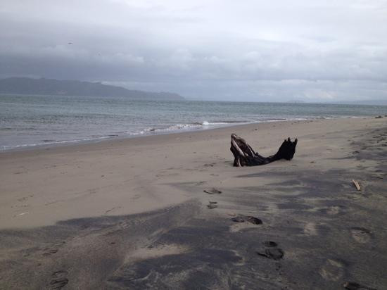 Fort Stevens State Park-Hammond必去景点