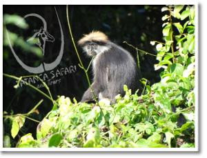 Tatanca Safari & Tours-Iringa必去景点