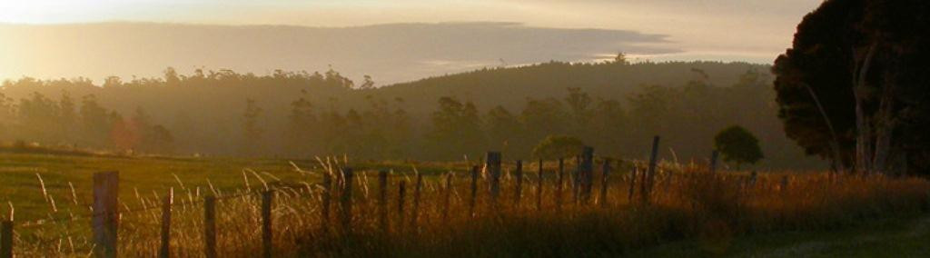 Brook Eden Vineyard-Lebrina必去景点