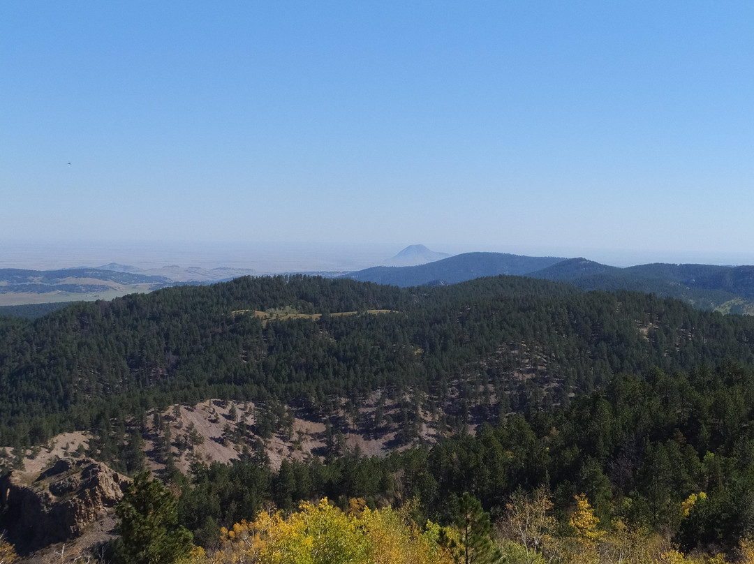 Mt Roosevelt Monument-戴德伍德必去景点