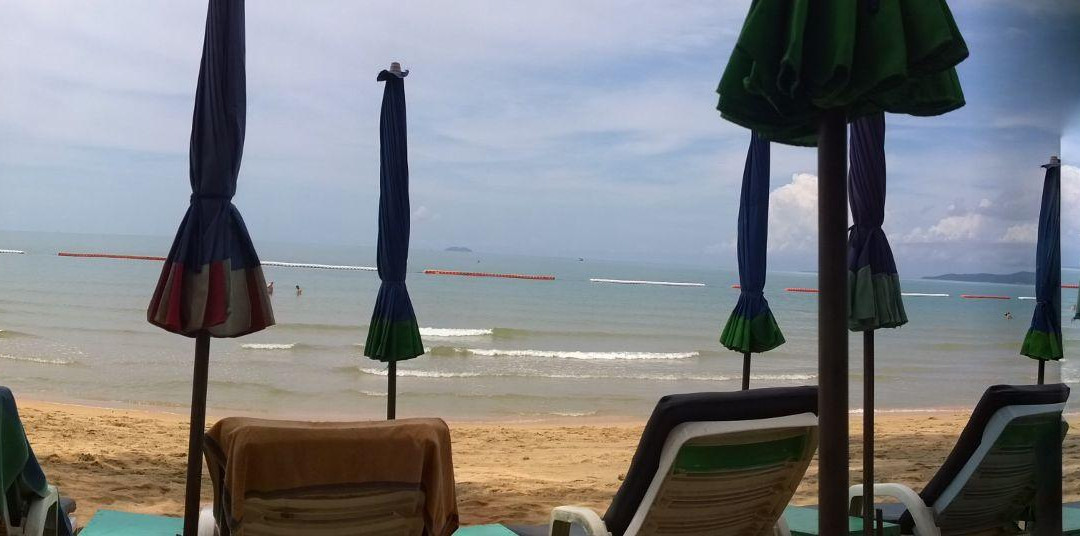 Dongtan Beach景点图片