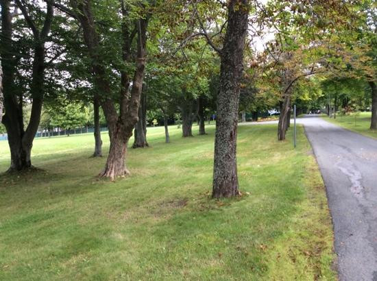 Government House-圣约翰必去景点