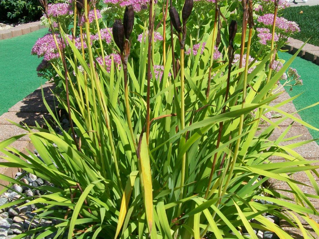 West End Creamery-Whitinsville必去景点