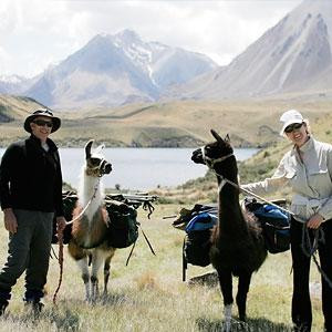 Hanmer Llamas-汉默温泉必去景点