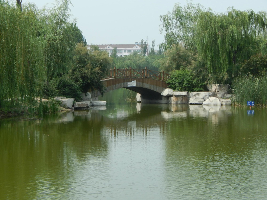 淄博植物园景点图片
