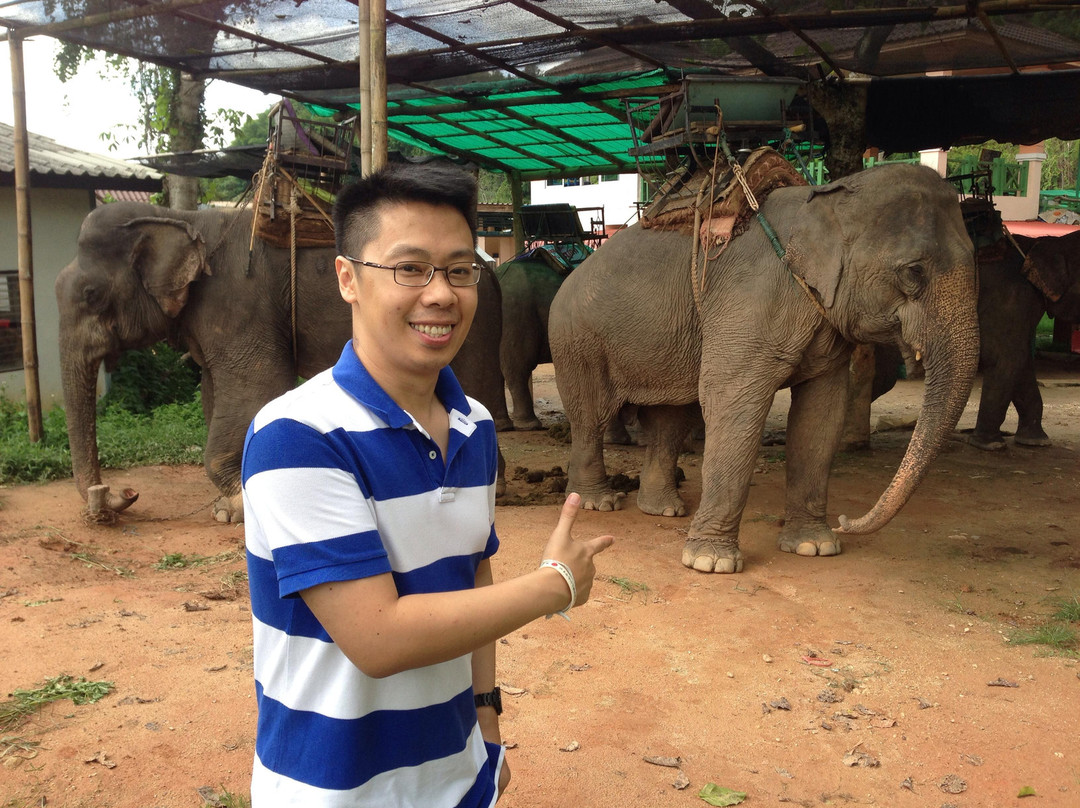 Suantangja Travel - Private Day Tours-清莱必去景点