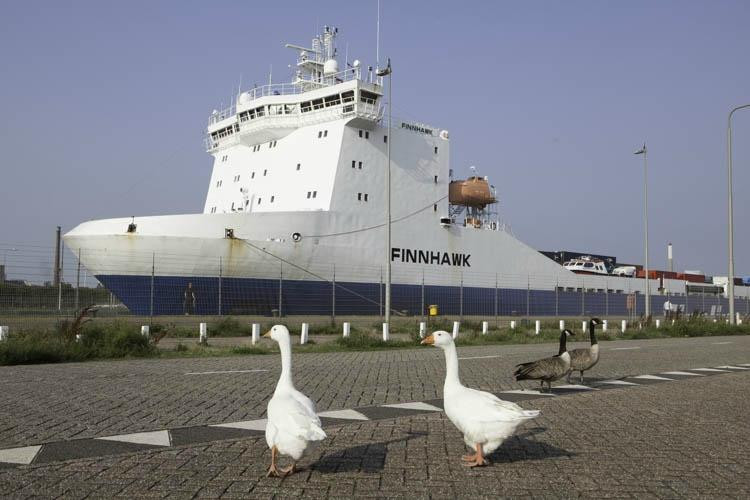 Dutch Pedelec Tours-Ijmuiden必去景点