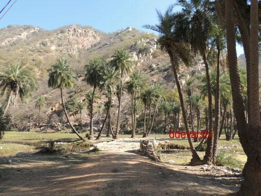 Jamva Ramgarh Wildlife Sanctuary-斋蒲尔必去景点